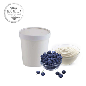 Helado Artesanal de Yogurt de rancho y Blueberries orgánicas